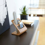 TV Remote Control Mobile Phone Storage Rack