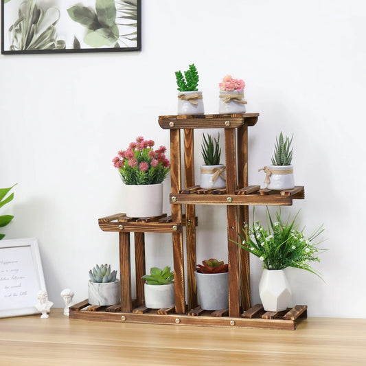 Carbonized wood plant stand
