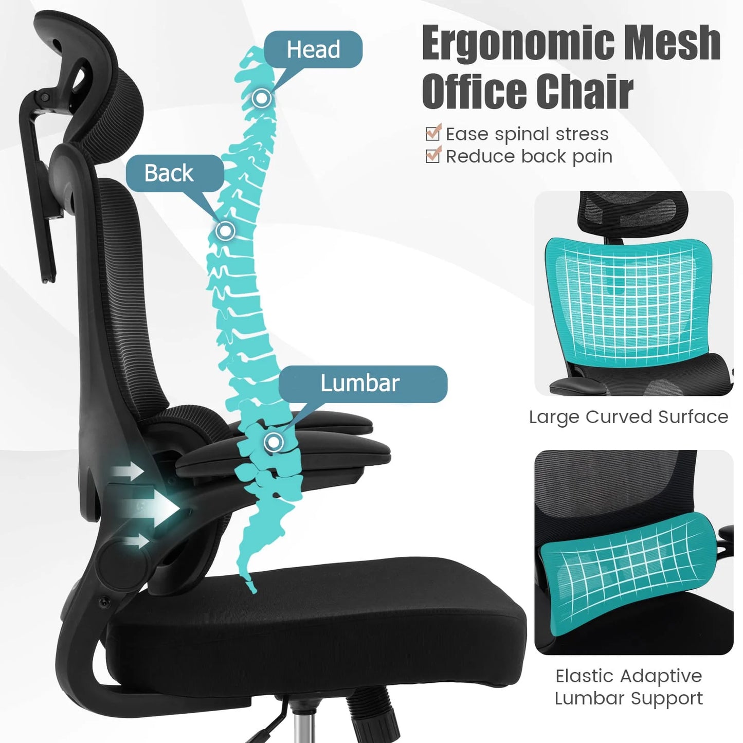 Ergonomic computer desk chair with lumbar support