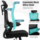 Ergonomic Computer Desk Chair with Lumbar Support