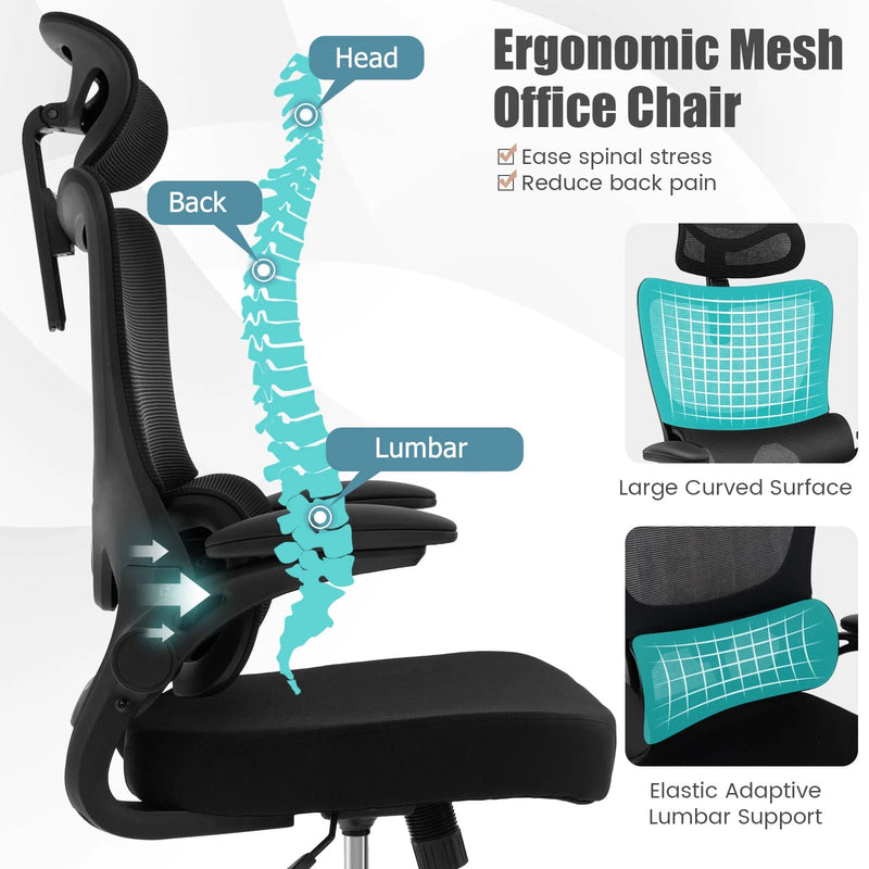 Ergonomic Computer Desk Chair with Lumbar Support