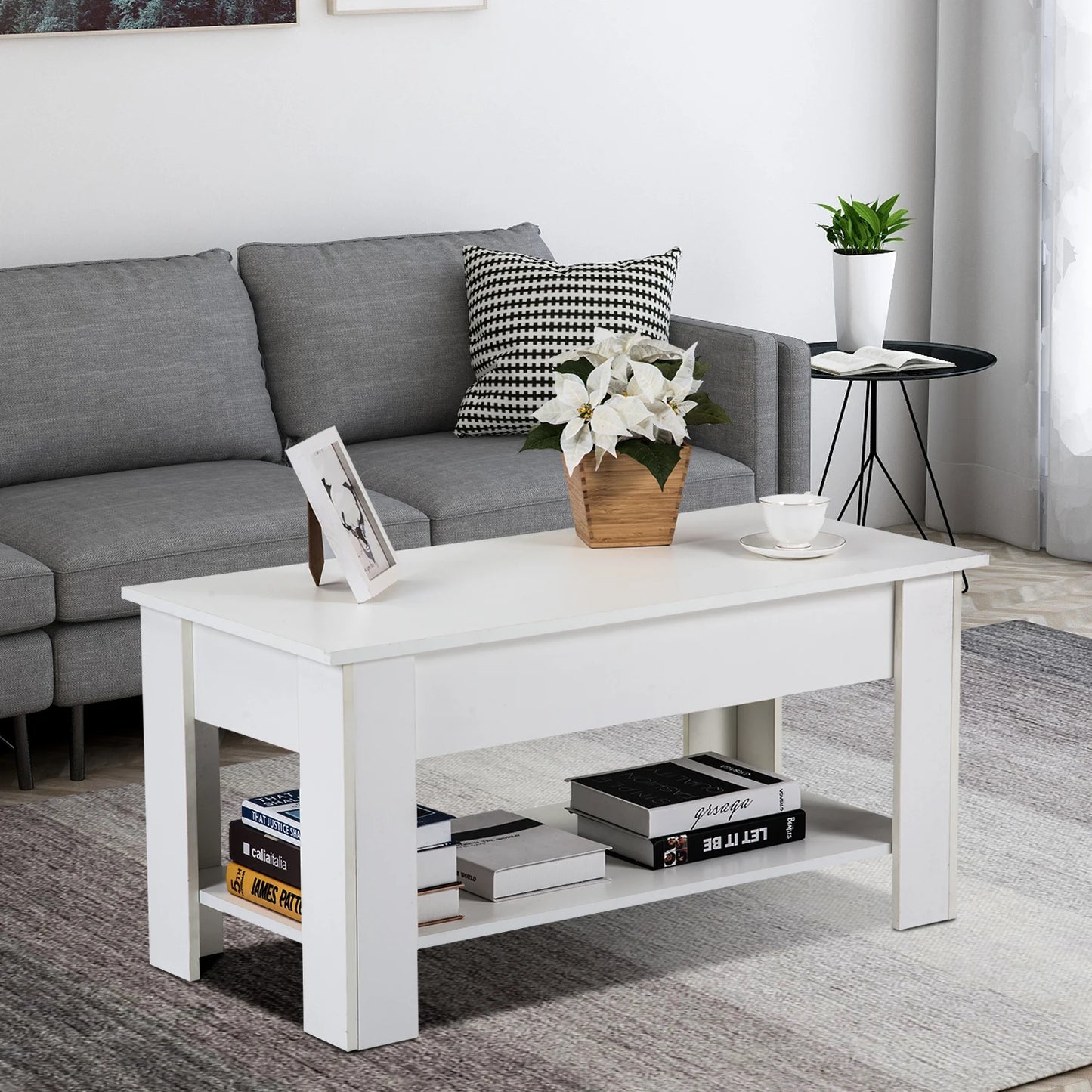 Lift up top coffee table with storage and shelf