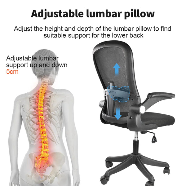 Lumbar Support Ergonomic Office Chair