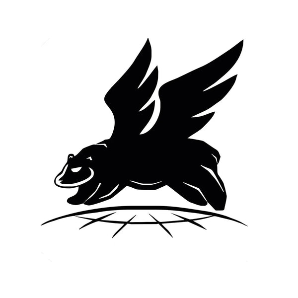 Flying Bear 3D Printer