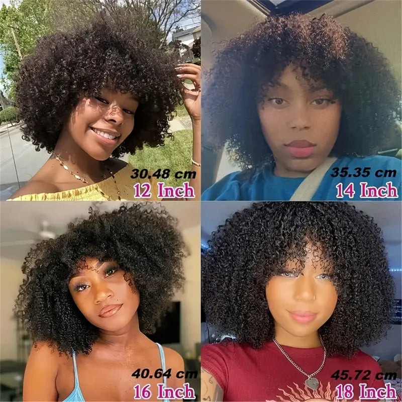 Brazilian Afro Kinky Curly Human Hair Bundles