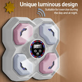 Wall Mount Boxing Training Machine