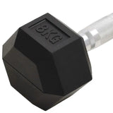 16kg Cast Iron Dumbbells for Strength Training | East R Us