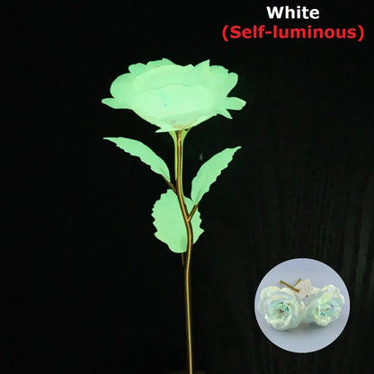 Luminous rose flower