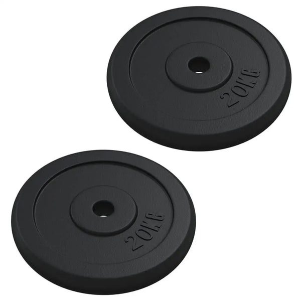 40kg Cast Iron Weight for Strength Training