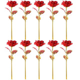 10pcs Eternal Colorful Gold Rose