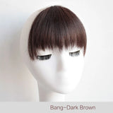 Synthetic Fake Bangs In Hair Extensions