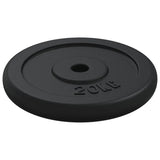 40kg Cast Iron Weight for Strength Training