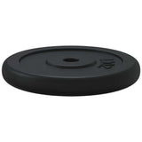 40kg Cast Iron Weight for Strength Training