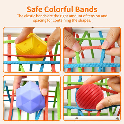 Montessori Shape Sorter Baby Toys