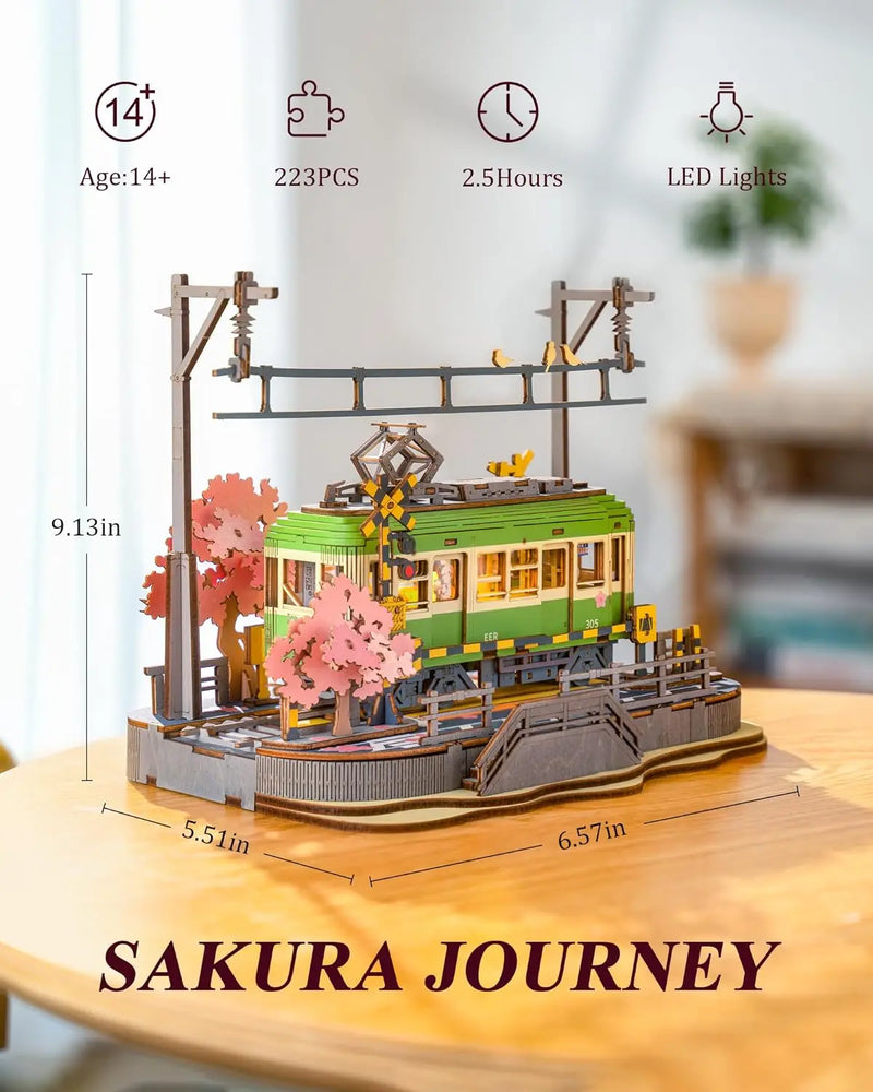 3D DIY Model Building Toy with LED Light