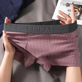 Cotton Striped Underpants