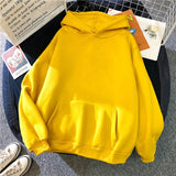 Autumn Winter Fleece Hoodies