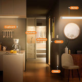 Magnetic USB Rechargeable Body Sensor LED Light