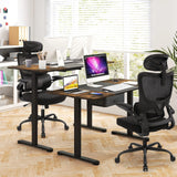 Ergonomic Computer Desk Chair with Lumbar Support