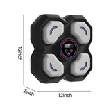 Wall Mount Boxing Training Machine