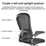 Lumbar Support Ergonomic Office Chair