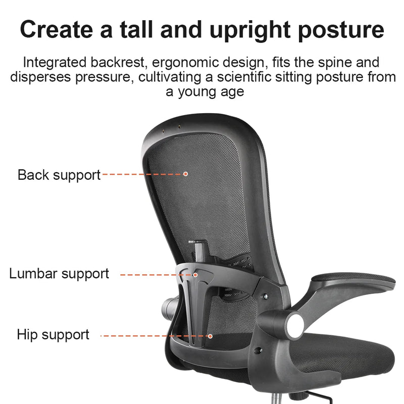Lumbar Support Ergonomic Office Chair