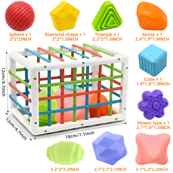 Montessori Shape Sorter Baby Toys