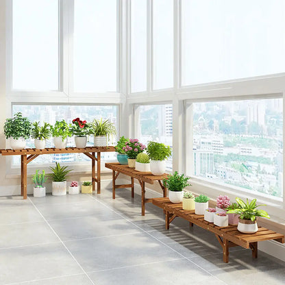 Corner plant shelves