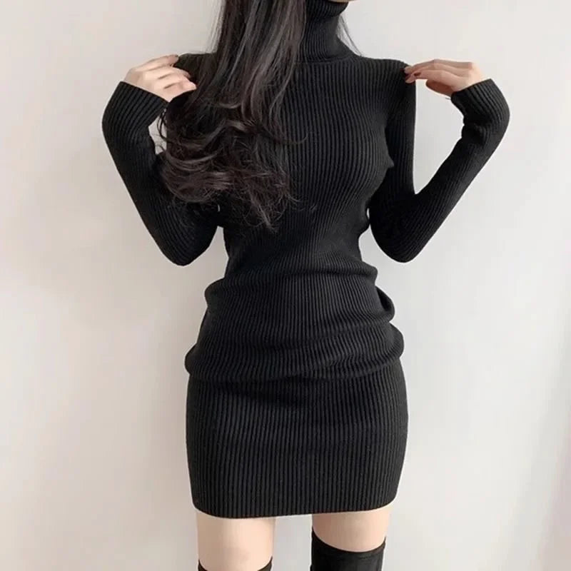 Turtleneck Sweater Dress