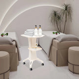 Multifunction Trolley Stand with Wheel