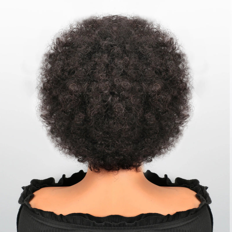 Braided Afro Puff Lace Frontal Hair Wig
