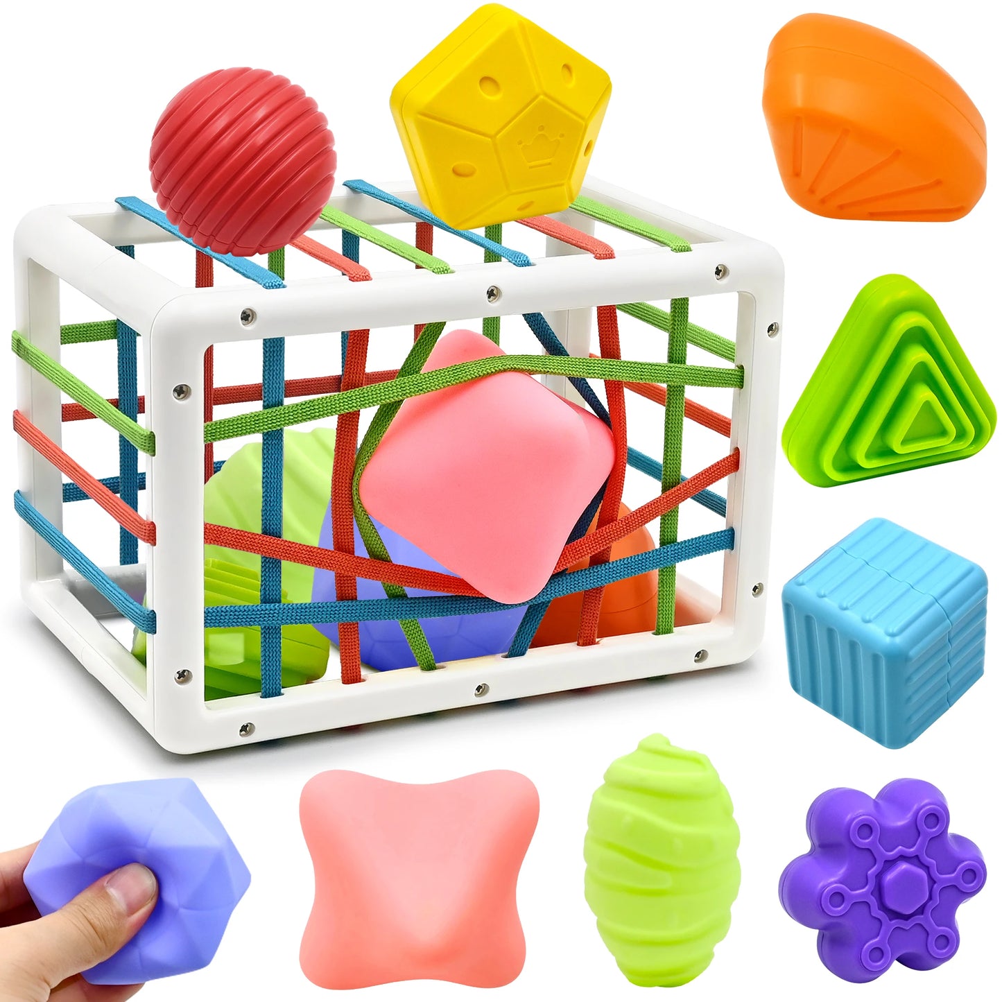 Montessori Shape Sorter Baby Toys