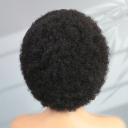 Afro kinky curly human hair short pixie cut wigs