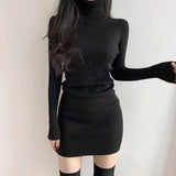 Turtleneck Sweater Dress