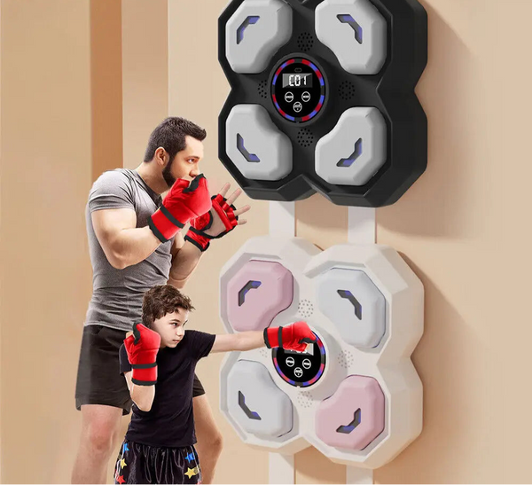 Wall Mount Boxing Training Machine