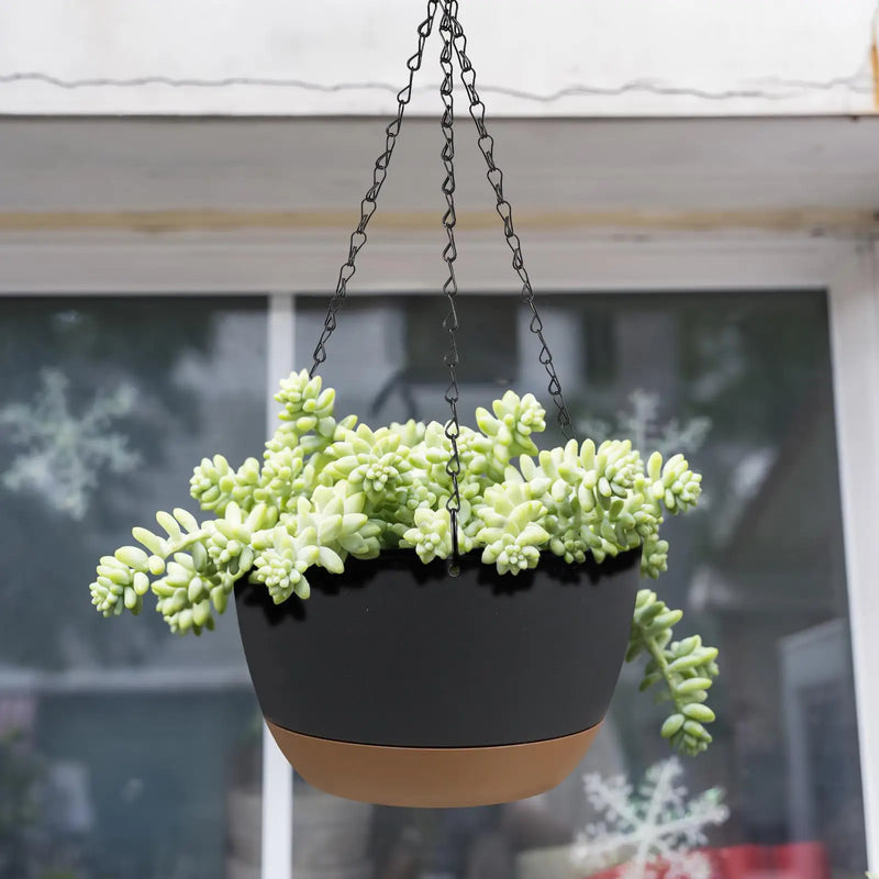 2 Set Flower Hanging Basket