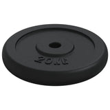40kg Cast Iron Weight for Strength Training