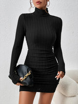 Turtleneck Long Sleeves Sheath Dress