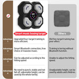 Wall Mount Boxing Training Machine