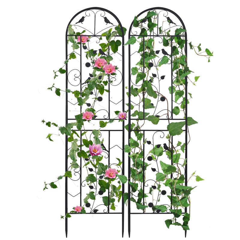 Large Metal Garden Trellises for Climbing Plants