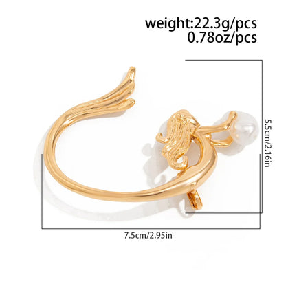 No Pierced Hook Earrings