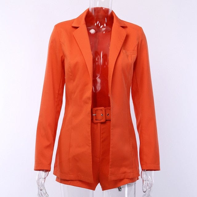 Ladies Elegant Casual Two Piece Suit